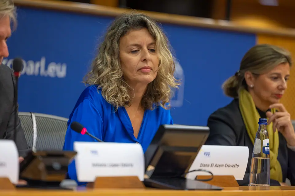 Diana hablando en una mesa del Parlamento Europeo